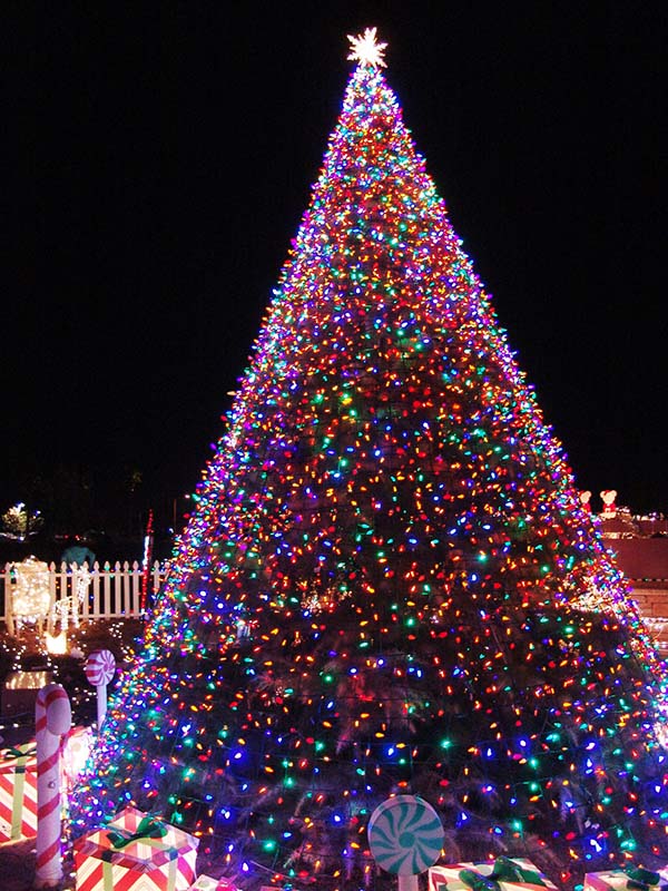 Christmas-Tree-Armenio